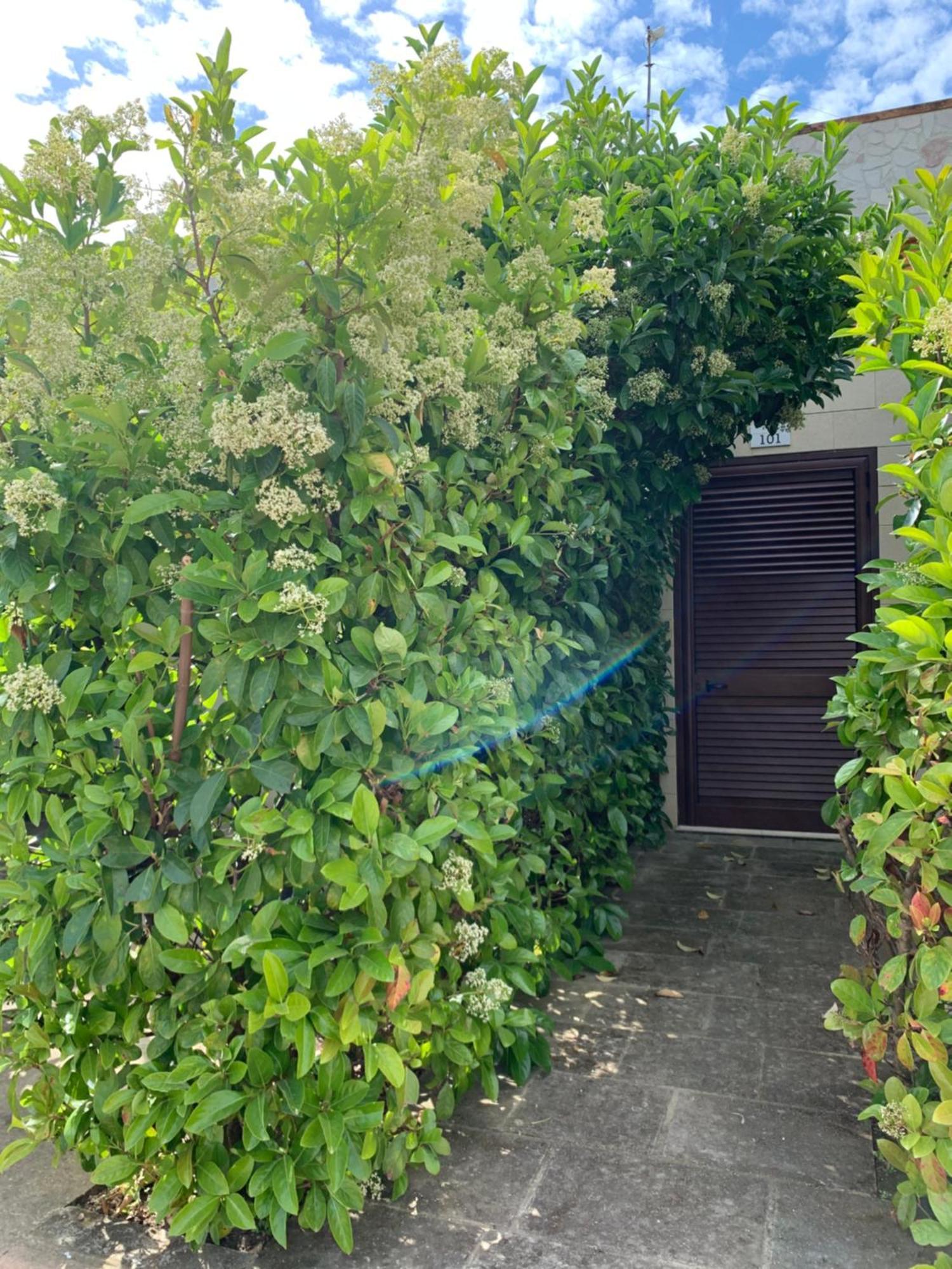 Agriturismo Tenuta Don Giovanni Melendugno Zewnętrze zdjęcie